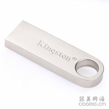 金士顿 DTSE9-16G 金属U盘 银